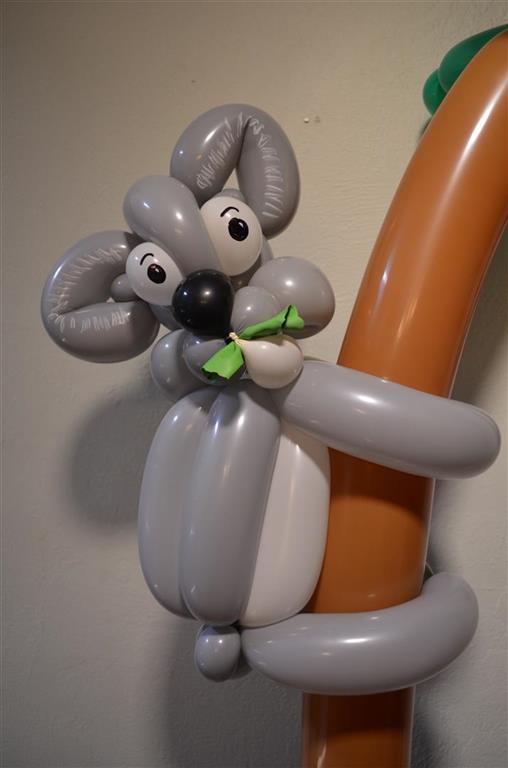 Balloon Koala Naples Evans