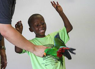 magic-florida-libraries-parrot